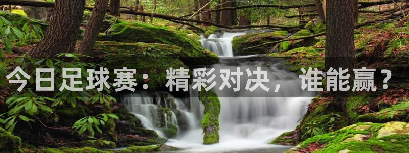 意昂5体育官网