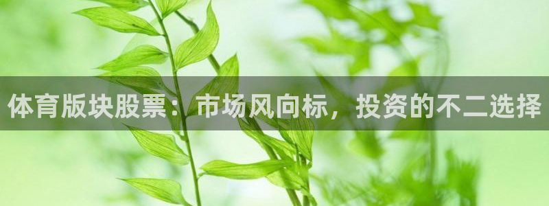 意昂54注册
