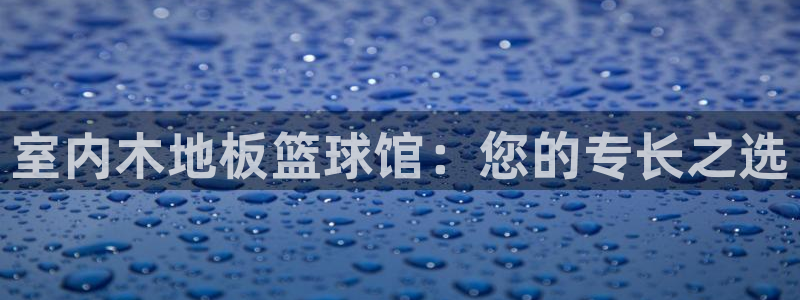 上海意昂5汽车电子有限公司