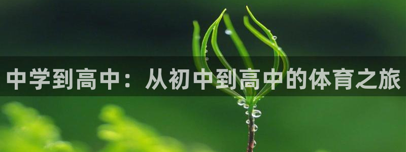 德国意昂5集团